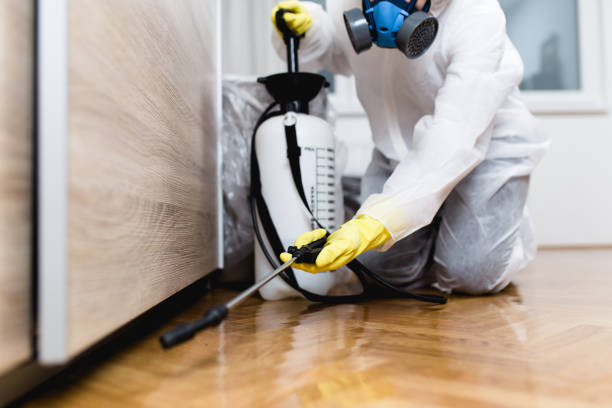 Best Affordable Pest Control Services  in Tanaina, AK