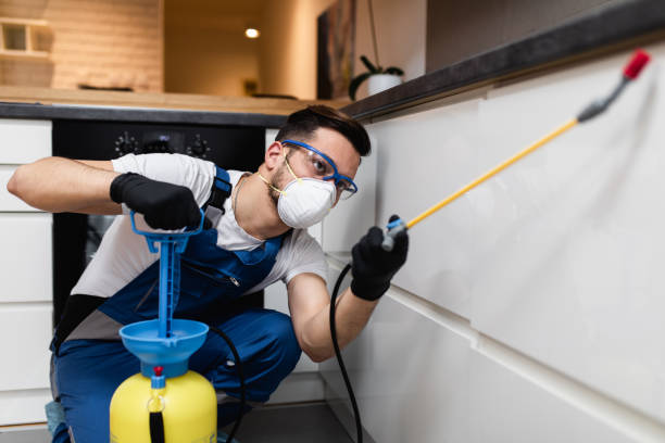 Best Rat Extermination Near Me  in Tanaina, AK