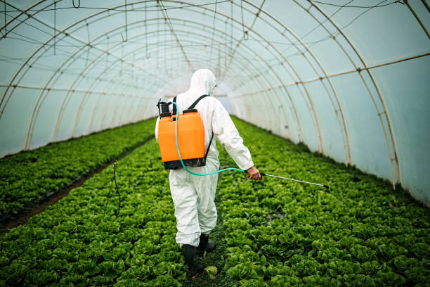 Best Mosquito Control Services  in Tanaina, AK