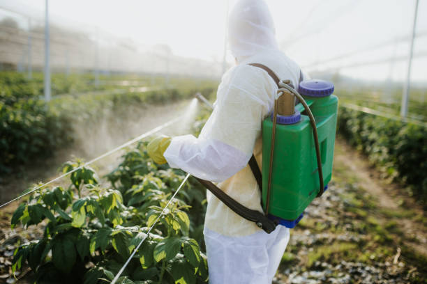 Best Best Pest Control Companies  in Tanaina, AK